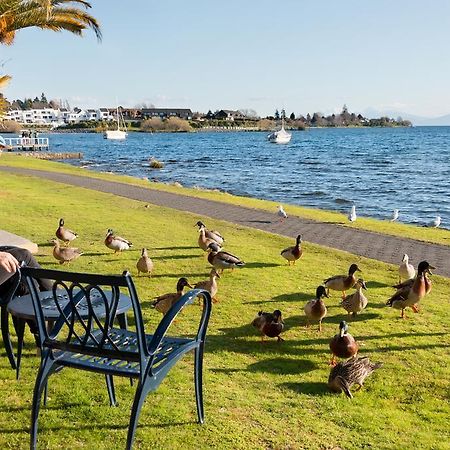 Oasis Beach Motel Taupo Bagian luar foto