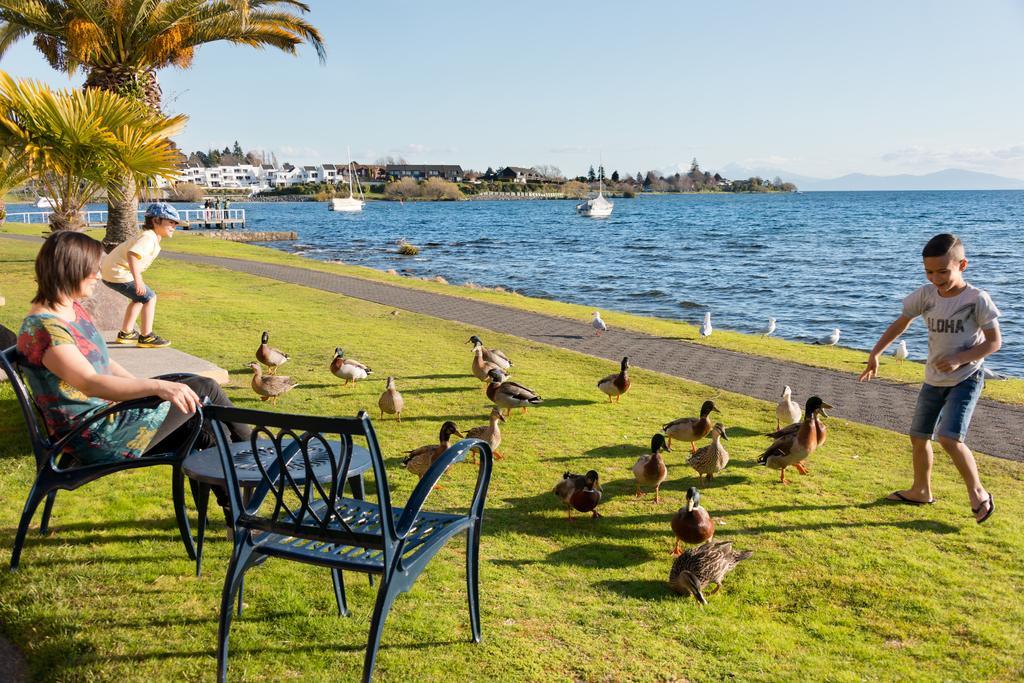 Oasis Beach Motel Taupo Bagian luar foto